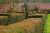 LITTLE PONTON HALL  LINCOLNSHIRE: YEW HEDGES IN THE WALLED GARDEN