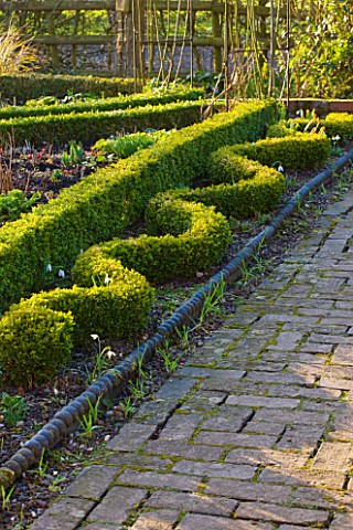 DIAL_PARK__WORCESTERSHIRE_BOX_TOPIARY_BUXUS_IN_THE_SHAPE_OF_A_SNAKE_BESIDE_PATH