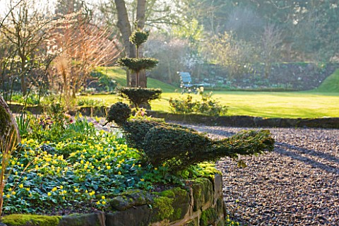 DIAL_PARK__WORCESTERSHIRE_TOPIARY_BIRD_BESIDE_ACONITES_AND_SNOWDROPS_IN_RAISED_BED_BESIDE_THE_DRIVE_