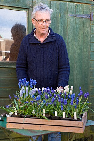 RICHARD_HOBBS_GARDEN__NORFOLK_RICHARD_WITH_MUSCARI_IN_FRONT_OF_GREEN_SHED