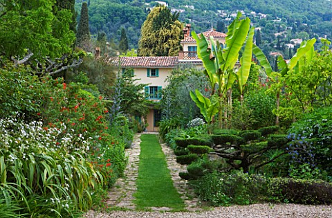 VILLA_FORT_FRANCE__GRASSE__FRANCE_THE_FRONT_GARDEN_WITH_VIEW_TO_VILLA__PATH__CLOUD_TOPIARY_AND_BANAN