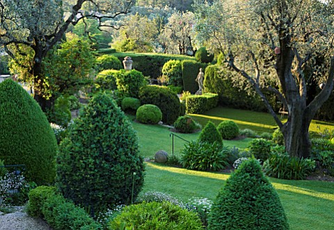 LA_CASELLA_FRANCE_TERRACEWITH_LAWN_OLIVE_TREES_CLIPPED_TOPIARY_BOX_SHAPES_BUXUS_GREEN_TERRACED_TERRA