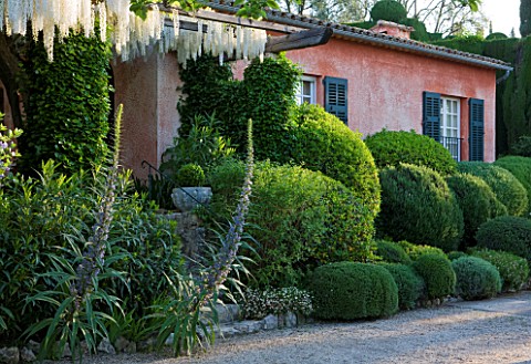 LA_CASELLA_FRANCE_DRIVE_CLIPPED_TOPIARY_MEDITERRANEAN_FRENCH_FORMAL_GREEN_EVERGREENS_SUMMER_PROVENCE
