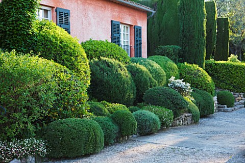 LA_CASELLA_FRANCE_DRIVE_CLIPPED_TOPIARY_MEDITERRANEAN_FRENCH_FORMAL_GREEN_EVERGREENS_SUMMER_PROVENCE