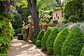 LA CASELLA, FRANCE: PATH, STONE, WALLS, STEPS, CLIPPED, TOPIARY, MEDITERRANEAN, FRENCH, FORMAL, EVERGREENS, SUMMER, PROVENCE, HEDGES, HEDGING, BOX, BUXUS