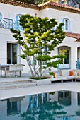 DESIGNER JAMES BASSON, SCAPE DESIGN, FRANCE: SWIMMING POOL WITH REFLECTION OF LAGERSTROEMERIA INDICA TREE - PROVENCE, SUMMER, REFLECTIONS, SEATING, CUSHIONS, TERRACE, PATIO