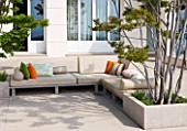 DESIGNER JAMES BASSON, SCAPE DESIGN, FRANCE: TERRACE BESIDE HOUSE WITH LAGERSTROEMERIA INDICA TREE - PROVENCE, SUMMER, REFLECTIONS, SEATING, CUSHIONS, TERRACE, PATIO
