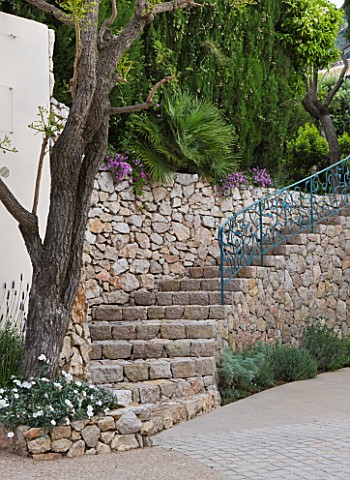 DESIGNER_JAMES_BASSON_SCAPE_DESIGN_FRANCE_BEAUTIFUL_STONE_STAIRCASE__STEPS_FROM_DRIVE__RAILINGS_SUMM