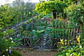 LA CARMEJANE, FRANCE: LUBERON, PROVENCE, FRENCH, COUNTRY, GARDEN, SUMMER, POTAGER, VEGETABLE, PRODUCTIVE, EDIBLE