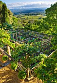 LA CARMEJANE, FRANCE: LUBERON, PROVENCE, FRENCH, COUNTRY, GARDEN, SUMMER, POTAGER, VEGETABLE, PRODUCTIVE, EDIBLE, VIEW, COUNTRYSIDE, BORROWED, LANDSCAPE