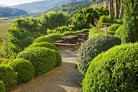 LA_CARMEJANE_FRANCE_LUBERON_PROVENCE_FRENCH_COUNTRY_GARDEN_SUMMER_CLIPPED_TOPIARY_BALLS_HEDGING_TERR