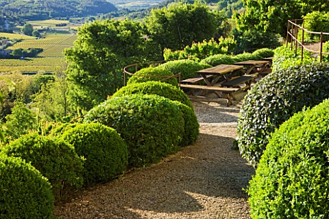 LA_CARMEJANE_FRANCE_LUBERON_PROVENCE_FRENCH_COUNTRY_GARDEN_SUMMER_CLIPPED_TOPIARY_BALLS_HEDGING_TERR