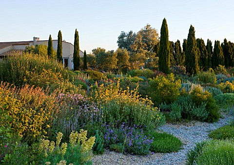 GARDEN_OF_OLIVIER_FILIPPI__MEZE__FRANCE_THE_GRAVEL_GARDEN_AT_DAWN_WITH_THE_HOUSE_IN_THE_BACKGROUND