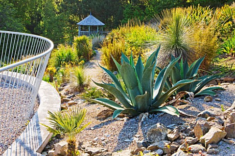 TREMENHEERE_SCULPTURE_GARDENS__CORNWALL_VIEW_UP_TO_GAZEBO_IN_THE_ARID__DRY_GARDEN__WITH_AGAVES_IN_FO