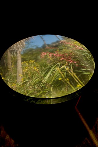 TREMENHEERE_SCULPTURE_GARDENS__CORNWALL_CAMERA_OBSCURA_PROJECTION_BY_BILLY_WYNTER