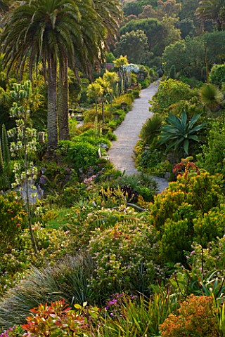 TRESCO_ABBEY_GARDEN__TRESCO___ISLES_OF_SCILLY_VIEW_FROM_TOP_TERRACE_TO_THE_MIDDLE_TERRACE