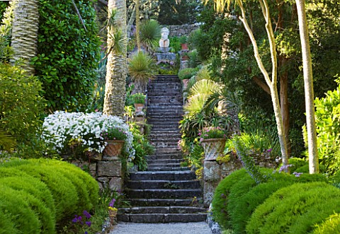 TRESCO_ABBEY_GARDEN__TRESCO___ISLES_OF_SCILLY_VIEW_UP_THE_NEPTUNE_STEPS_TO_THE_STONE_LIKE_FIGURE_OF_