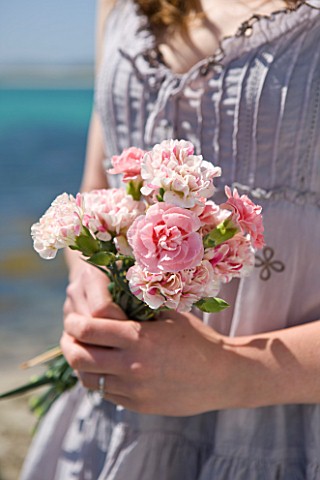 THE_ISLES_OF_SCILLY_SCILLY_FLOWERS__FRESHLY_PICKED_SCENTED_PINKS_HELD_BY_STEPH_HILL