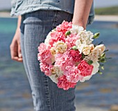 THE ISLES OF SCILLY: SCILLY FLOWERS - FRESHLY PICKED SCENTED PINKS HELD BY STEPH HILL