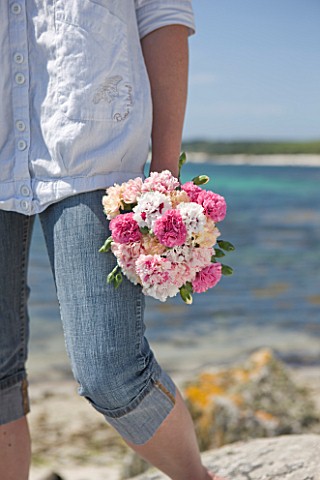 THE_ISLES_OF_SCILLY_SCILLY_FLOWERS__FRESHLY_PICKED_SCENTED_PINKS_BY_THE_SEA__HELD_BY_STEPH_HILL