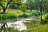 GLYNDEBOURNE, EAST SUSSEX: VIEW ACROSS LAKE TO MEADOW AND WOODEN SEAT / BENCH - WATER, POOL, TRANQUIL, PEACEFUL, COUNTRY GARDEN, LANDSCAPE