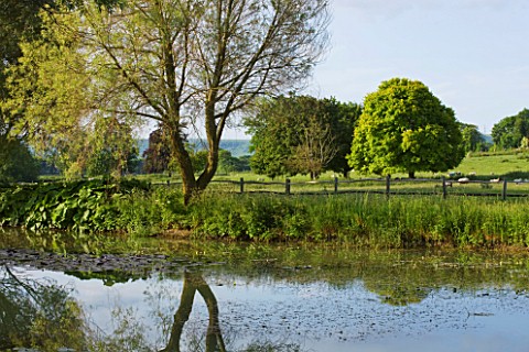 GLYNDEBOURNE_EAST_SUSSEX_VIEW_ACROSS_LAKE_TO_THE_COUNTRYSIDE_BEYOND__WATER_POOL_TRANQUIL_PEACEFUL_CO