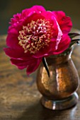 JO BENNISON PEONIES  LINCOLNSHIRE: COPPER CONTAINER WITH FLOWER OF PEONY MADAME HENRY FUCHS