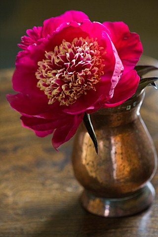 JO_BENNISON_PEONIES__LINCOLNSHIRE_COPPER_CONTAINER_WITH_FLOWER_OF_PEONY_MADAME_HENRY_FUCHS