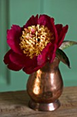 JO BENNISON PEONIES  LINCOLNSHIRE: COPPER CONTAINER WITH FLOWER OF PEONY SWORD DANCE