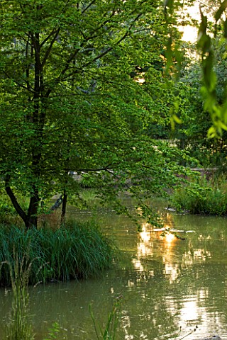 GARDEN_IN_KENT_DESIGNED_BY_BELLA_WHITELEY_THE_LAKE_AT_SUNSET_POOL_WATER_POND_GREEN