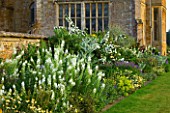 BROUGHTON CASTLE, OXFORDSHIRE: HERBACEOUS BORDER ALONG THE GARDEN WALL WITH THE GATEHOUSE AND CHURCH BEHIND - FLOWERS, SUMMER, FLOWERING, ENHGLISH GARDEN, COUNTRY GARDEN