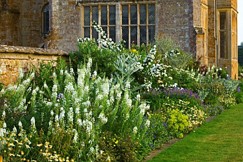 BROUGHTON_CASTLE_OXFORDSHIRE_HERBACEOUS_BORDER_ALONG_THE_GARDEN_WALL_WITH_THE_GATEHOUSE_AND_CHURCH_B