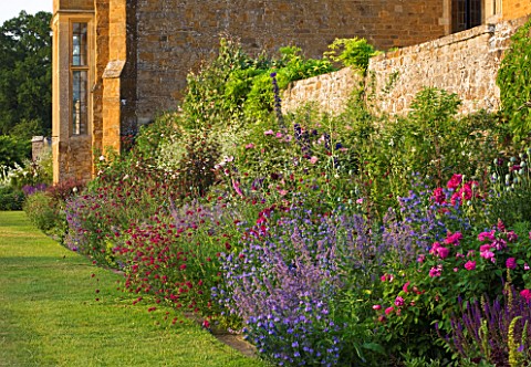 BROUGHTON_CASTLE_OXFORDSHIRE_WALL_BESIDE_THE_LAWN_WITH_NEPETA_AND_ROSES_____CLIMBING_CLIMBER_SCENT_S