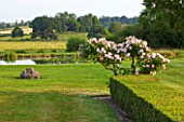 BROUGHTON CASTLE, OXFORDSHIRE: VIEW OUT ACROSS THE LAKE TO COUNTRYSIDE BEYOND WITH ROSE BUSH AND HEDGE - SUMMER, COUNTRY GARDEN, ROMANTIC
