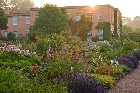 KILLERTON__DEVON_THE_NATIONAL_TRUST_THE_HERBACEOUS_BORDERS_IN_MORNING_LIGHT_WITH_HOUSE_IN_BACKGROUND