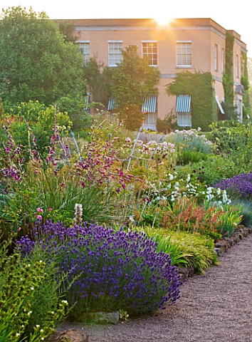 KILLERTON__DEVON_THE_NATIONAL_TRUST_THE_HERBACEOUS_BORDERS_IN_MORNING_LIGHT_WITH_HOUSE_IN_BACKGROUND