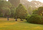 KILLERTON  DEVON: THE NATIONAL TRUST - THE LAWN AND TREES IN THE GARDEN - MORNING LIGHT
