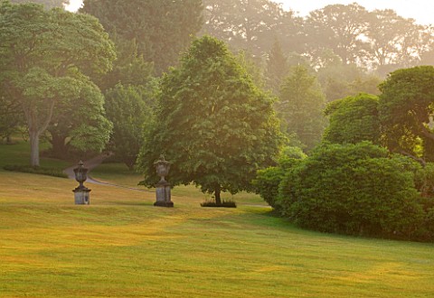 KILLERTON__DEVON_THE_NATIONAL_TRUST__THE_LAWN_AND_TREES_IN_THE_GARDEN__MORNING_LIGHT