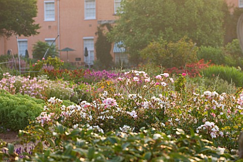 KILLERTON__DEVON_THE_NATIONAL_TRUST__THE_HERBACEOUS_BORDER_WITH_ROSES_AND_WEST_FRONT_OF_THE_HOUSE_BE