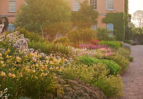 KILLERTON__DEVON_THE_NATIONAL_TRUST_HERBACEOUS_GARDEN_WITH_HEMEROCALLIS_AND_WEST_FRONT_OF_HOUSE_IN_B