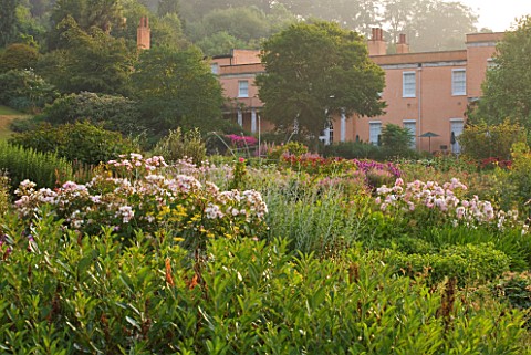 KILLERTON__DEVON_THE_NATIONAL_TRUST_HERBACEOUS_GARDEN_WITH_ROSES_AND_PEROVSKIA__WEST_FRONT_OF_THE_HO