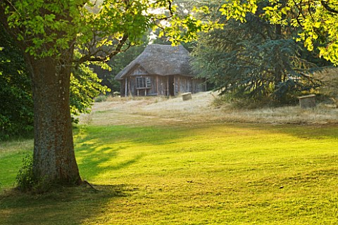 KILLERTON__DEVON_THE_NATIONAL_TRUST__THE_BEARS_HUT_WITH_LAWN_AND_WOODLAND__EVENING_LIGHT
