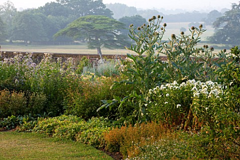 KILLERTON__DEVON_THE_NATIONAL_TRUST__THE_HERBACEOUS_GARDEN_WITH_CARDOON_AND_PARKLAND_BEYOND__MORNING
