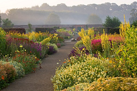HELMSLEY_WALLED_GARDEN__YORKSHIRE_THE_HERBACEOUS_BORDER_IN_JULY_DOMINATED_BY_VERBASCUMS_AND_MONARDAS