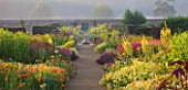 HELMSLEY WALLED GARDEN  YORKSHIRE: THE HERBACEOUS BORDER IN JULY DOMINATED BY VERBASCUMS  MONARDAS  CROCOSMIA AND GALLARDIAS