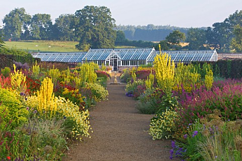 HELMSLEY_WALLED_GARDEN__YORKSHIRE_THE_HERBACEOUS_BORDER_IN_JULY_DOMINATED_BY_VERBASCUMS__ANTHEMIS_AN
