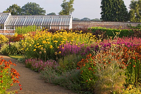 HELMSLEY_WALLED_GARDEN__YORKSHIRE_THE_HERBACEOUS_BORDER_IN_JULY_DOMINATED_BY_ACHILEAS__LYTHRUM__HELE