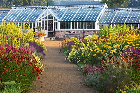 HELMSLEY_WALLED_GARDEN__YORKSHIRE_THE_HERBACEOUS_BORDER_IN_JULY_DOMINATED_BY_VERBASCUMS__HELLENIUMS_