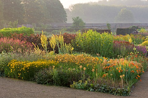 HELMSLEY_WALLED_GARDEN__YORKSHIRE_THE_HERBACEOUS_BORDER_IN_JULY_DOMINATED_BY_VERBASCUMS__CROCOSMIA__