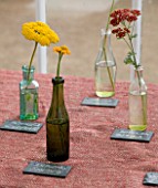 HELMSLEY WALLED GARDEN  YORKSHIRE: FLOWERS PICKED FROM THE GARDEN PLACED IN BOTTLES ON TABLE IN GREENHOUSE AND LABELLED WITH THEIR NAMES IN CHALK ON SLATE NAME TAGS